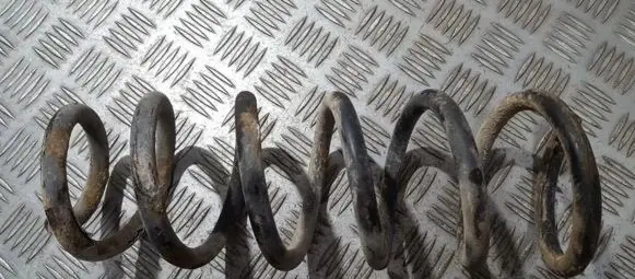 Rear coil spring