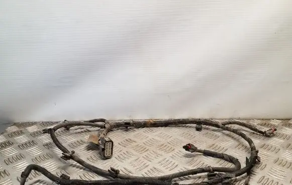 Ford S-MAX Parking sensor (PDC) wiring loom AG9T15K868DF