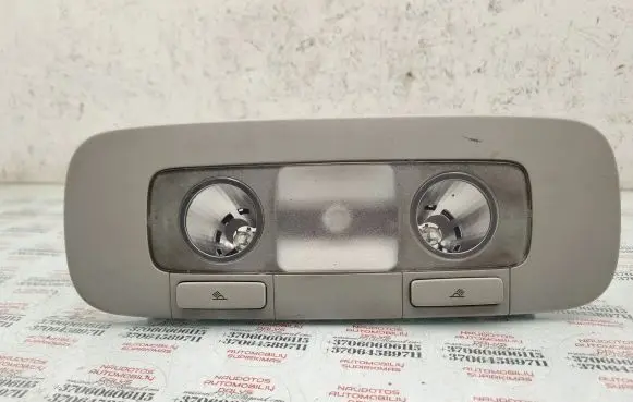 Volkswagen PASSAT B6 Rear seat light 3C0947291C