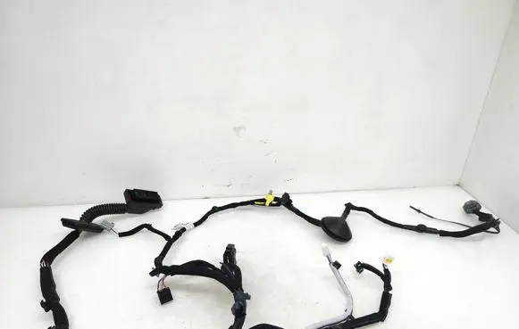 KIA Niro Front door wiring loom 91600 A0010 220920