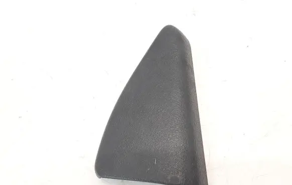 Other rear door trim element