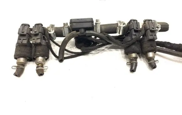 Honda Accord LP gas injector 