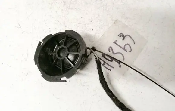 Front door speaker