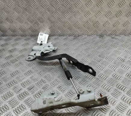 Renault Zoe Engine bonnet/hood hinges 654009955R 654707388R
