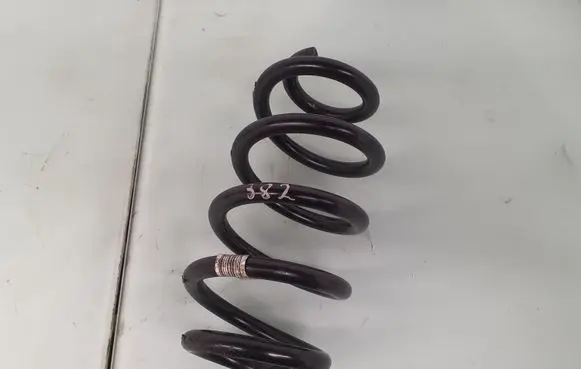 Rear coil spring