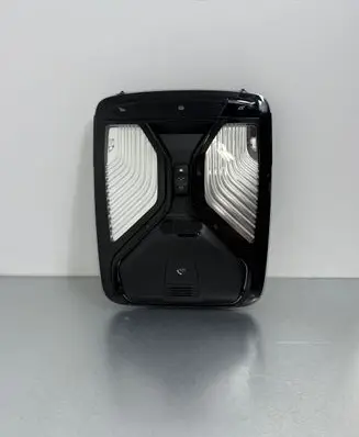 BMW X5 G05 Front seat light 5A25179 28725735