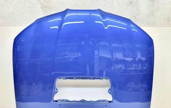 Engine bonnet/hood