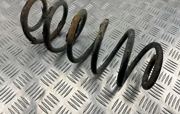 Rear coil spring