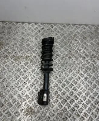 Dacia Spring Front shock absorber with coil spring 543022595R 333012