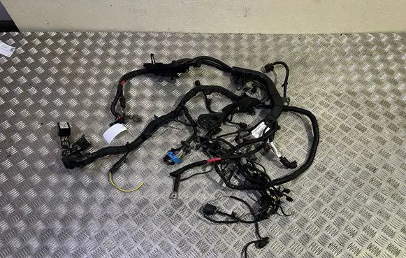 Volvo V40 Other wiring loom 31499180 31412983
