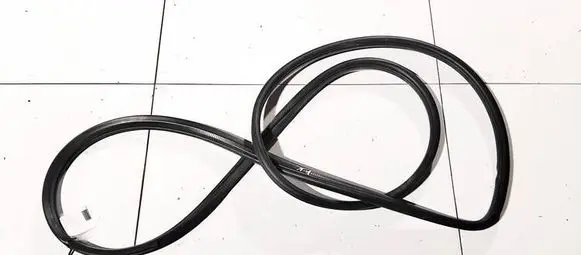 Hyundai Santa Fe Rubber seal front coupe door 