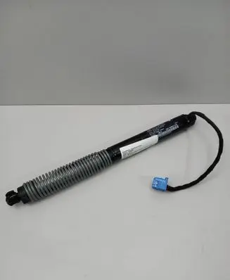 Tailgate strut