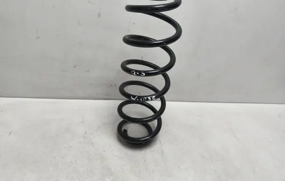 Rear coil spring