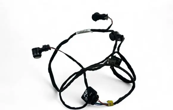 Other wiring loom