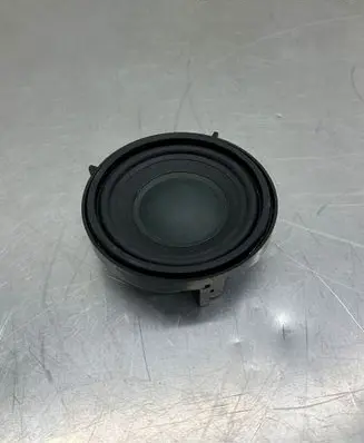 Panel speaker