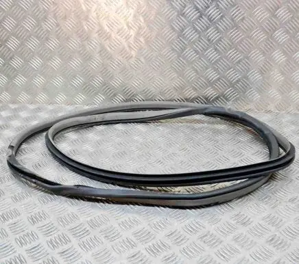 Nissan Leaf I (ZE0) Rubber seal rear door 