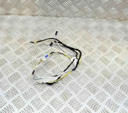Tesla Model Y Other wiring loom 148906301D