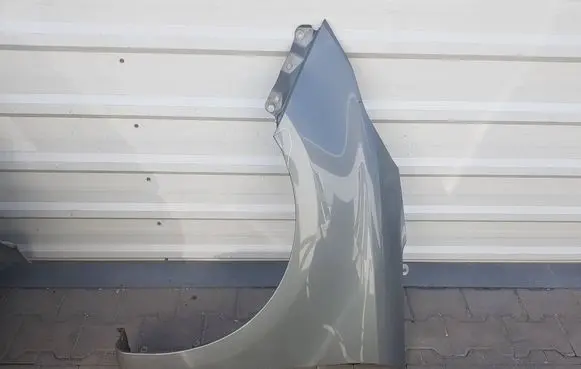 KIA Carens III Fender 