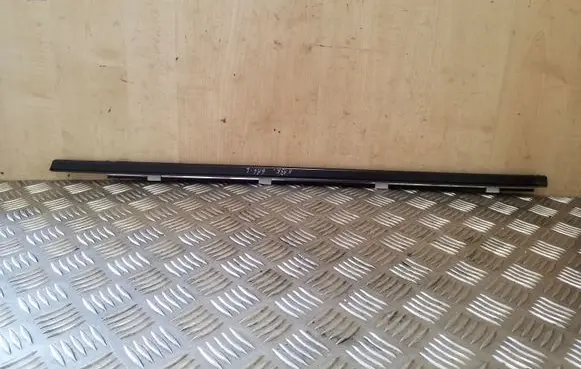 Rear door glass trim molding