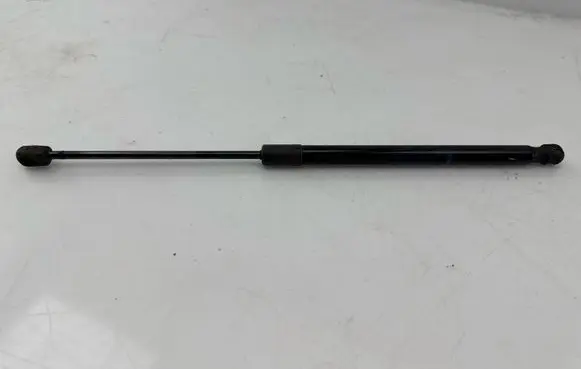 Tailgate strut