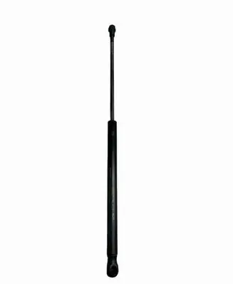 Tailgate/trunk strut/damper