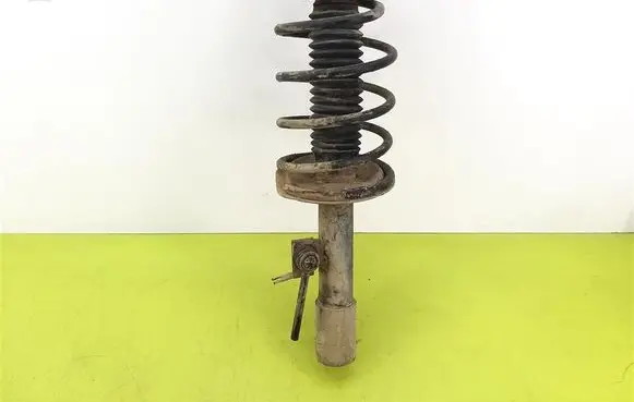 Peugeot 307 Front shock absorber with coil spring
