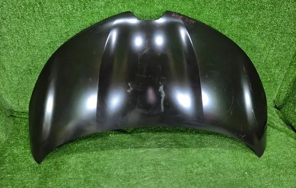 Renault Zoe Engine bonnet/hood 651001566R