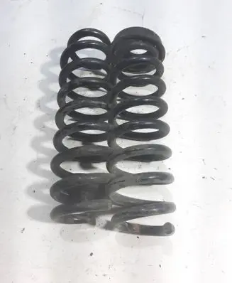Rear coil spring