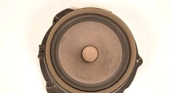 Volkswagen Beetle A5 Front door speaker GX7318808DC