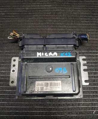 Engine control unit/module ECU