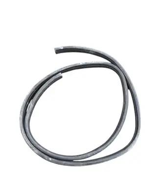 Subaru Outback (BT) Front door rubber seal 