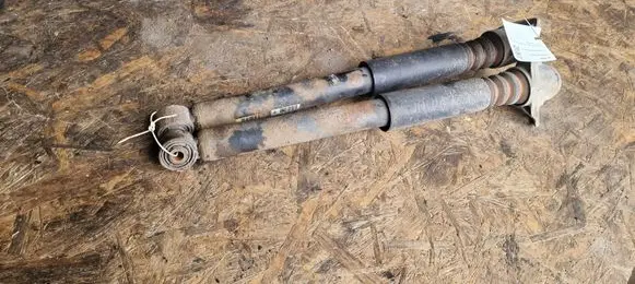 Volkswagen PASSAT B6 Rear shock absorber/damper 3C0513049BS