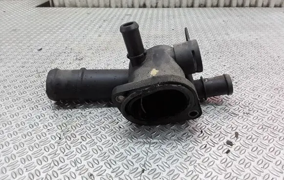 Thermostat/thermostat housing