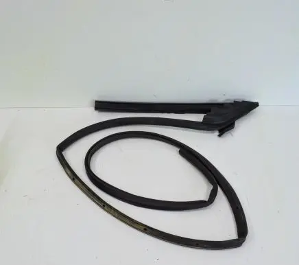 Dodge Challenger Rubber seal front coupe door 05076866