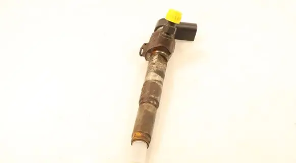 Renault Laguna III Fuel injector H8200294788