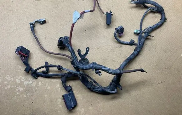 Opel Vectra C Other wiring loom 55350557
