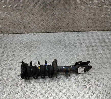 Hyundai Santa Fe Front shock absorber/damper 54650S1500