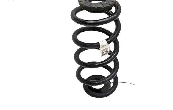 Chevrolet Bolt Rear coil spring 42477247 799117036 42402507