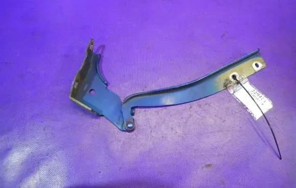 Fiat Punto (199) Engine bonnet/hood hinges