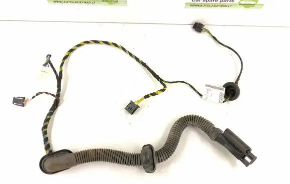Front door wiring loom