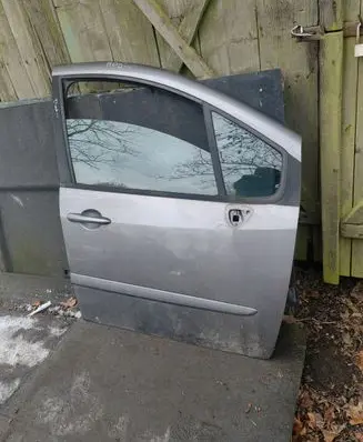 Renault Modus Front door