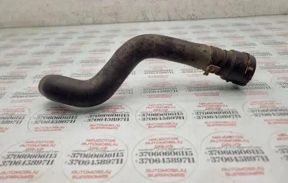 Volkswagen Golf Plus Engine coolant pipe/hose 3B0122291B