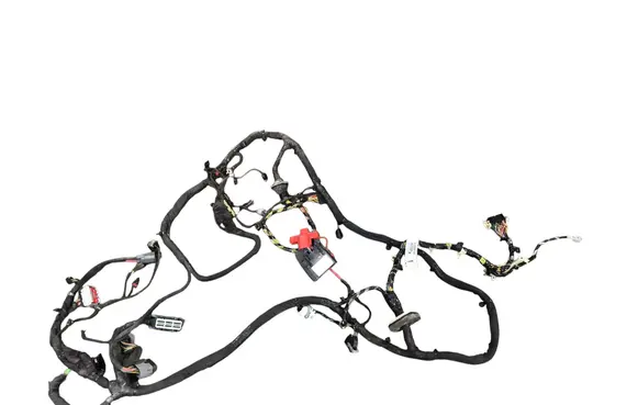 Other wiring loom