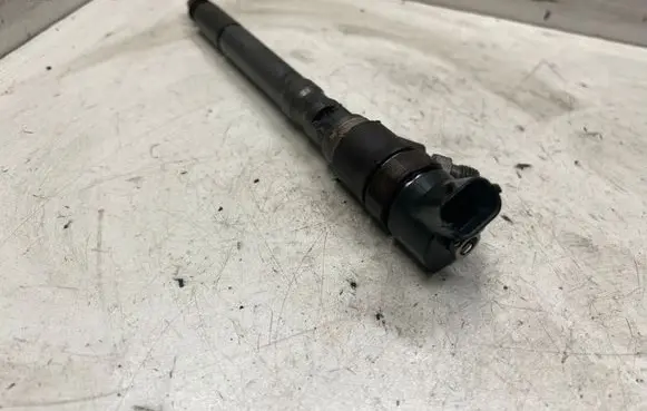Hyundai Santa Fe Fuel injector 3380027000