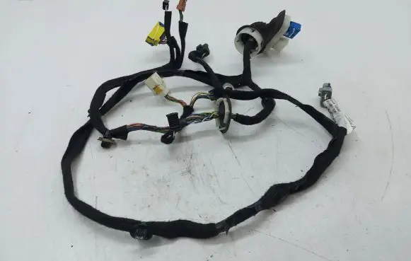 Front door wiring loom