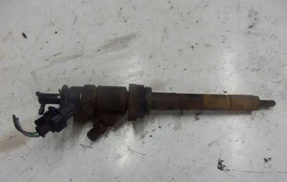Citroen C4 I Picasso Fuel injector 1980Y1