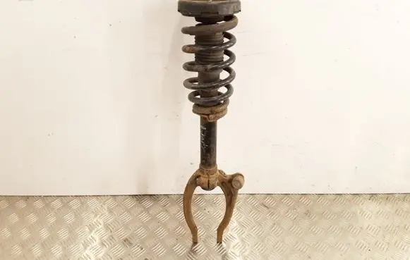 Hyundai Sonata Front shock absorber with coil spring 546113K140