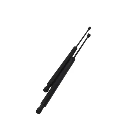 Tailgate/trunk strut/damper