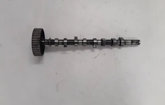 Renault Kangoo I Camshaft 