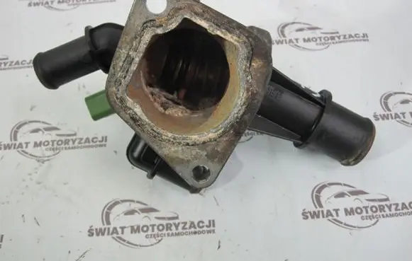 Thermostat/thermostat housing